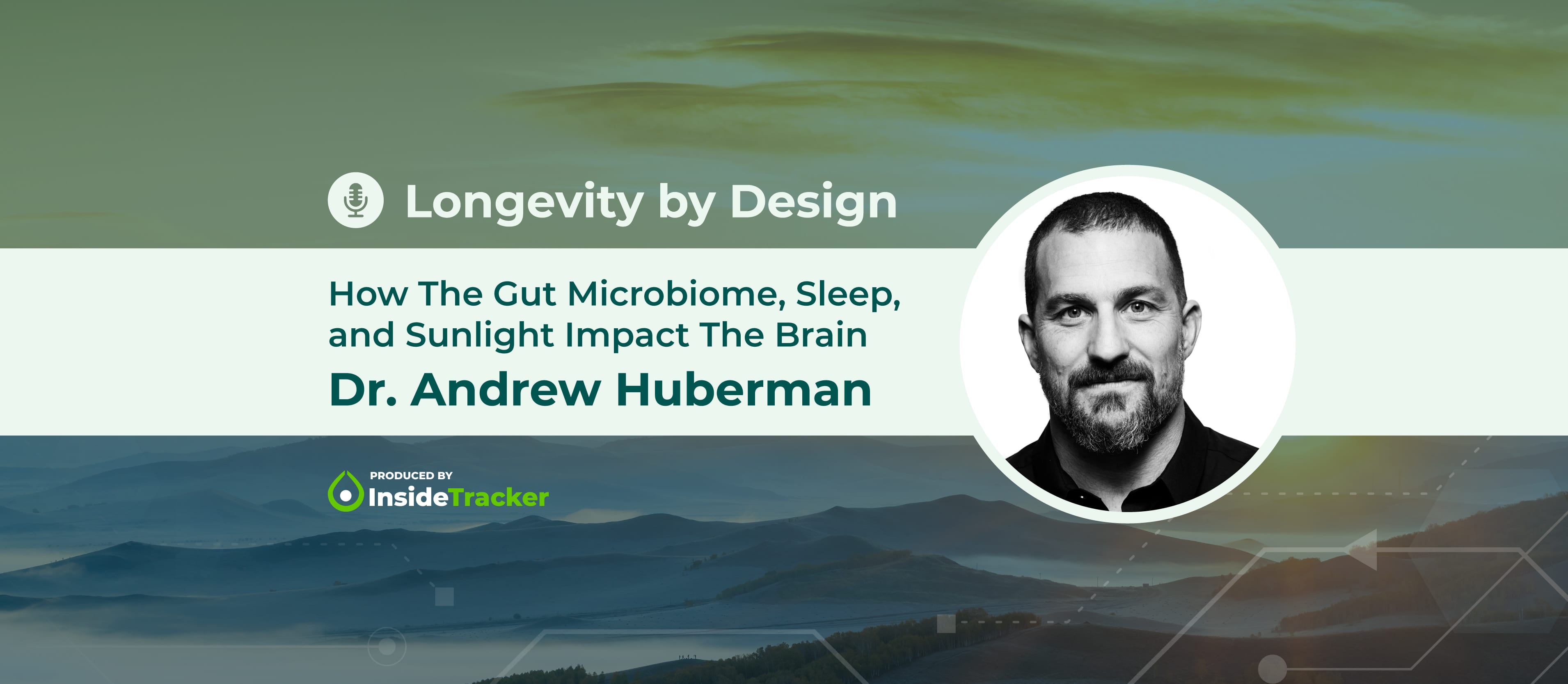 Dr. Andrew Huberman How The Gut Microbiome Sleep and Sunlight